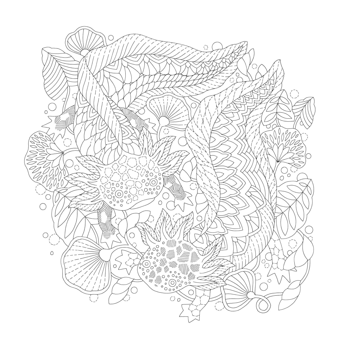 Millie Marotta's Precious Planet: A mindful colouring adventure