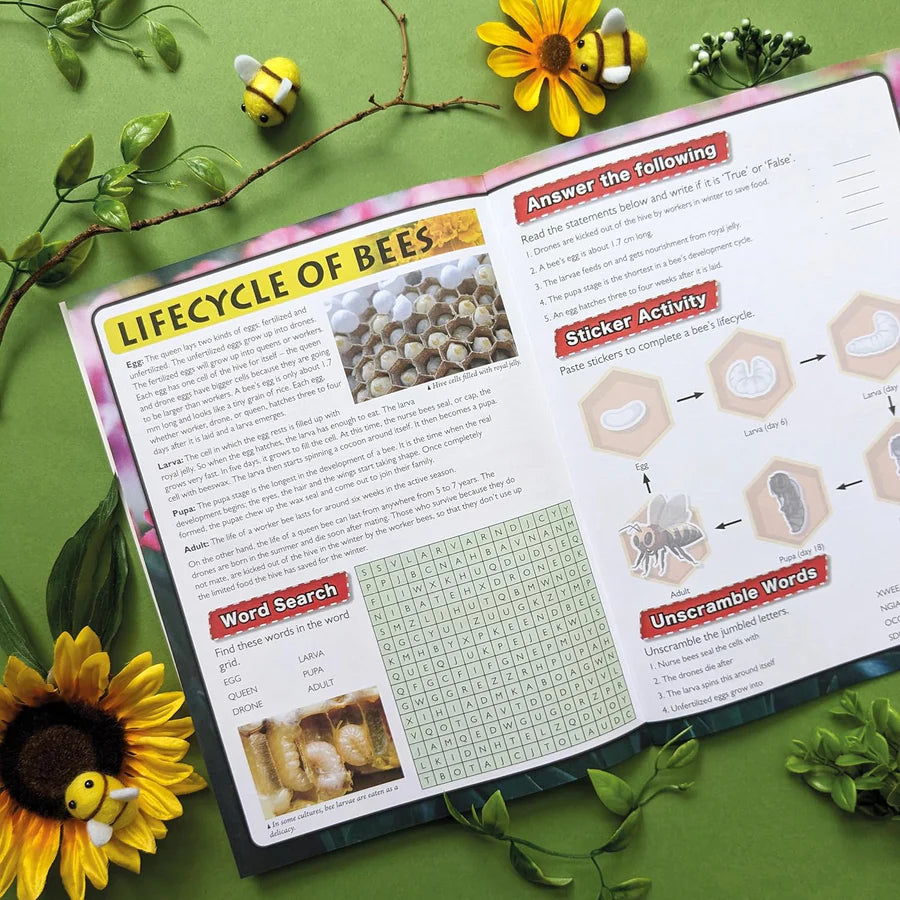 Discover Bees Sticker Book - Find, Stick and Learn - Anilas UK
