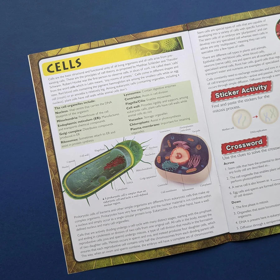Discover Biology Sticker Book - Find, Stick and Learn - Anilas UK