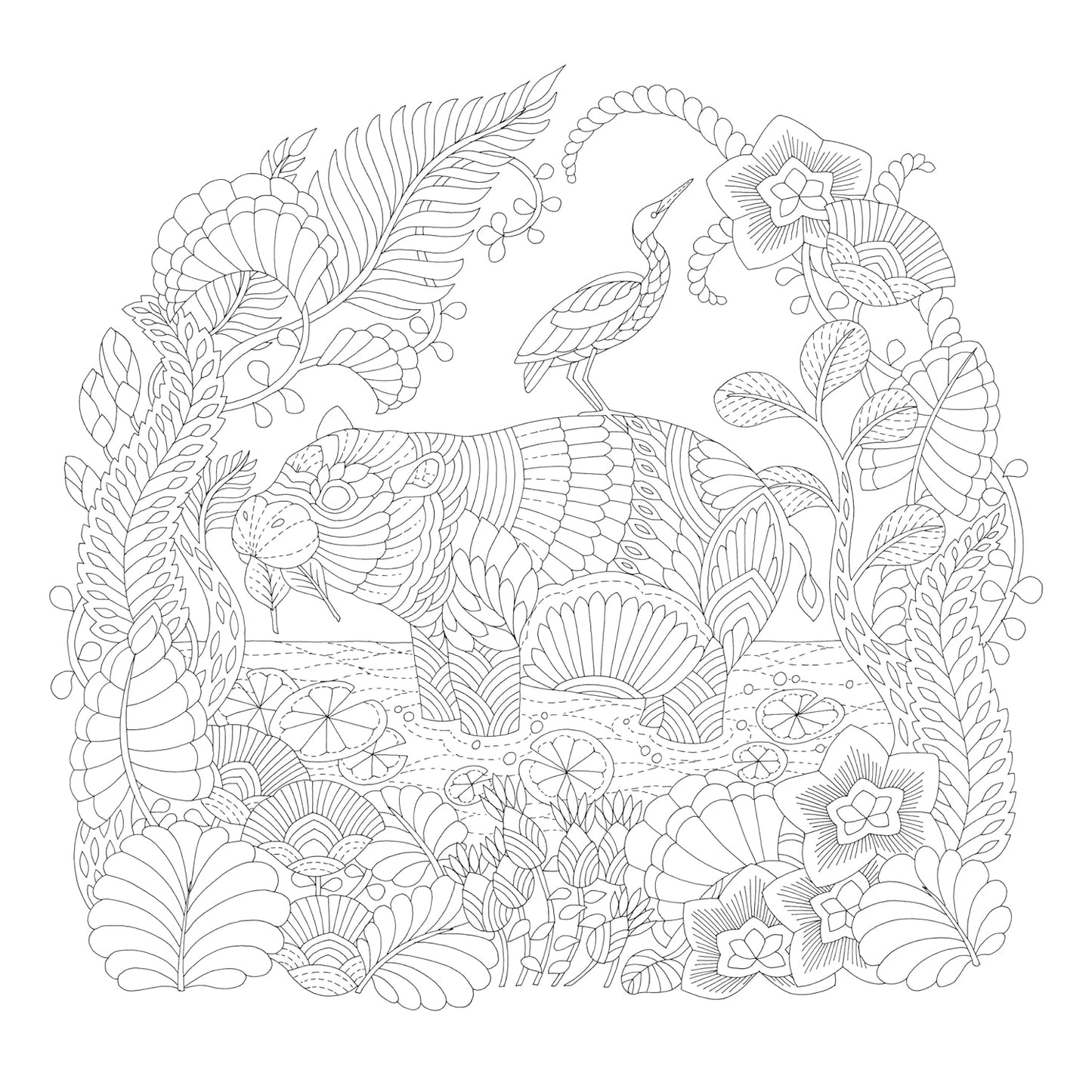 Millie Marotta's Precious Planet: A mindful colouring adventure