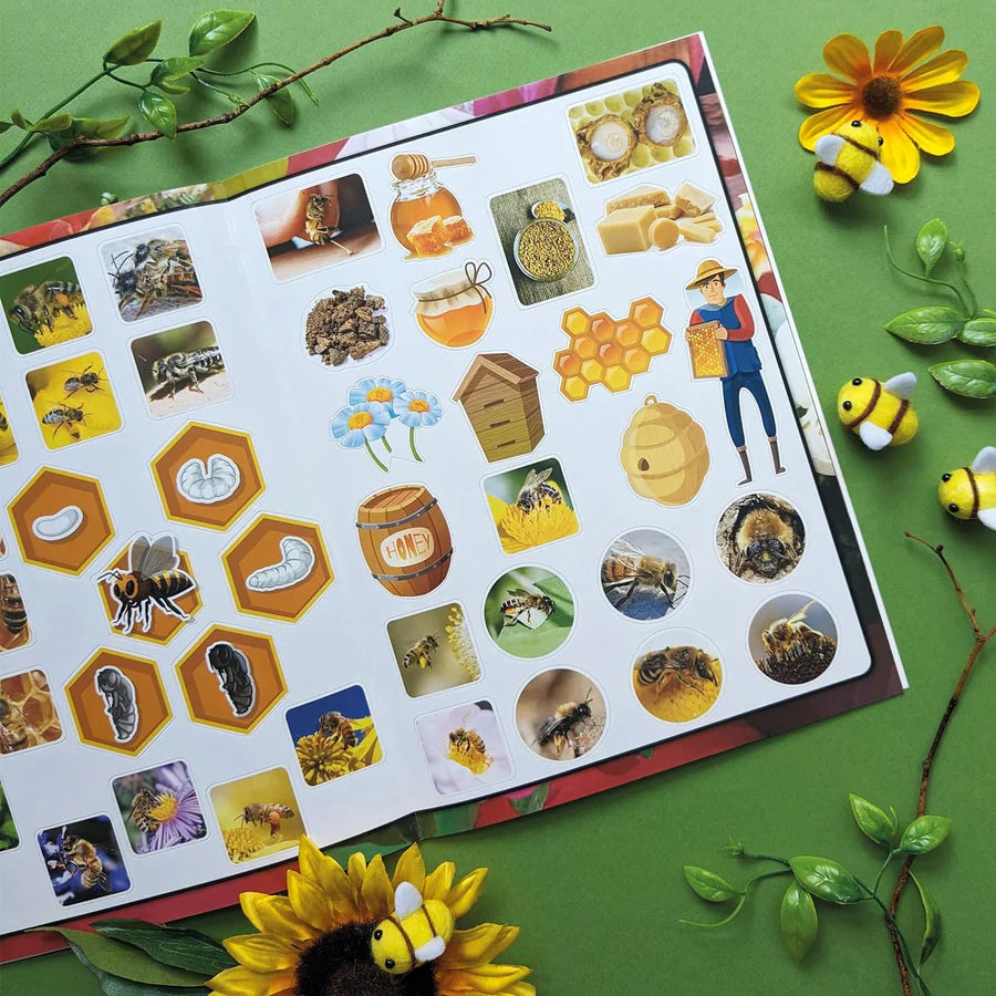 Discover Bees Sticker Book - Find, Stick and Learn - Anilas UK