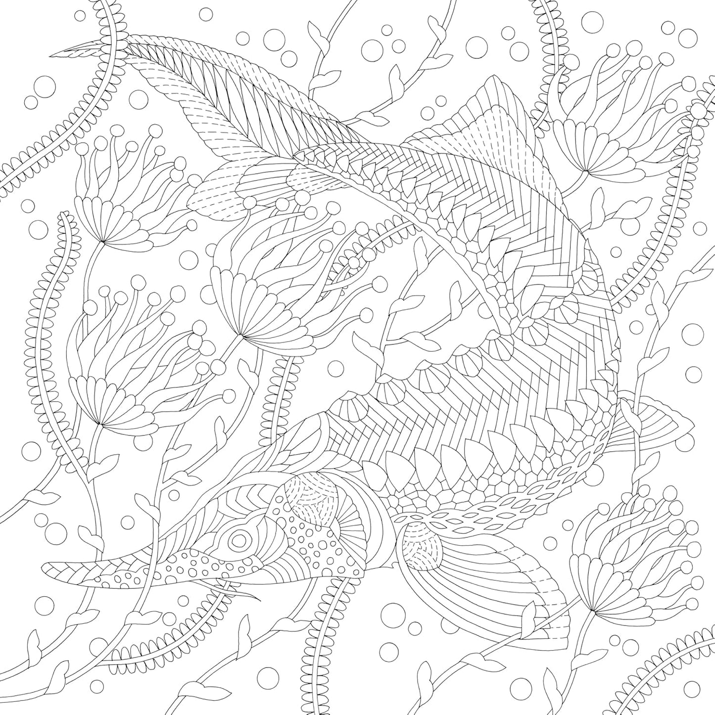 Millie Marotta's Precious Planet: A mindful colouring adventure