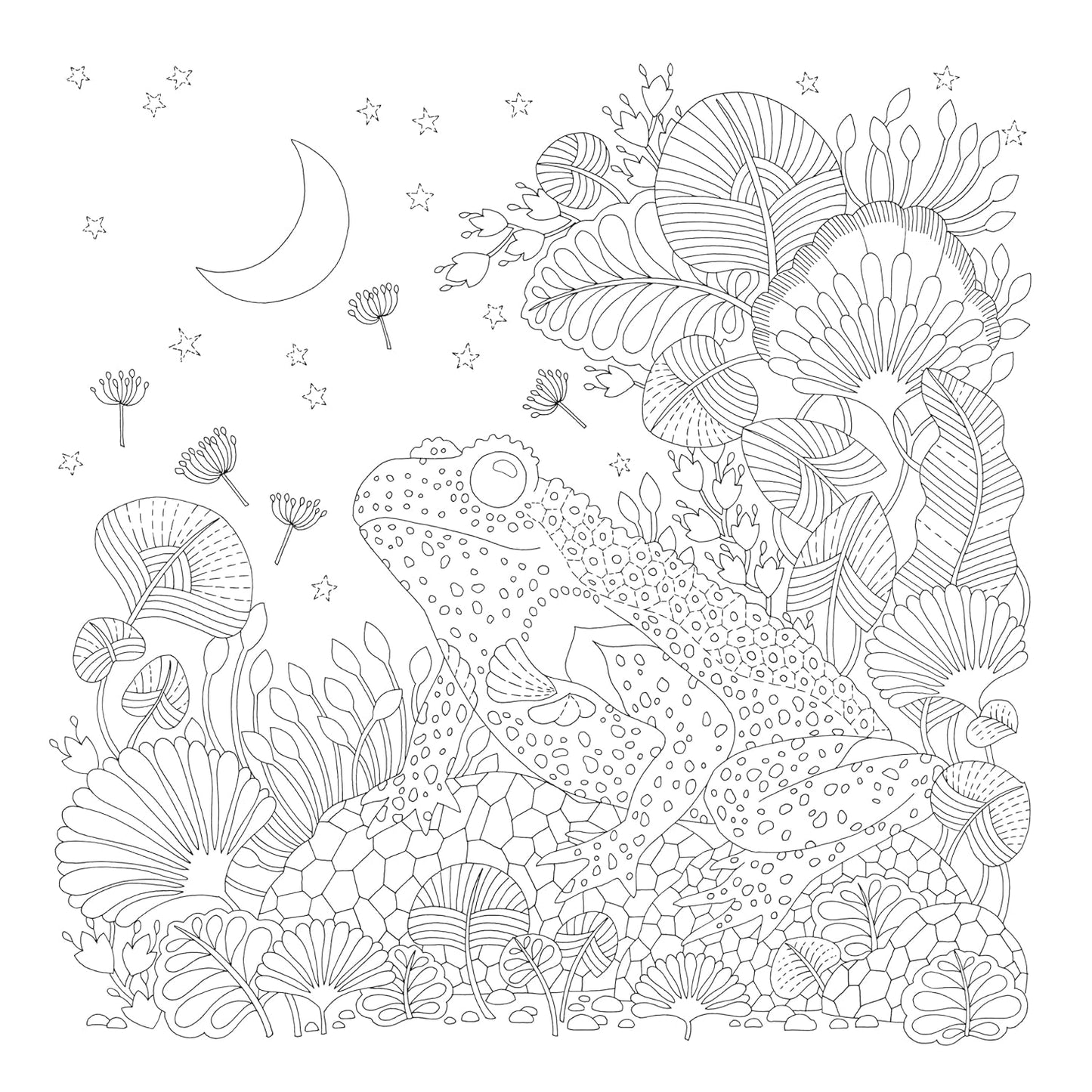 Millie Marotta's Precious Planet: A mindful colouring adventure