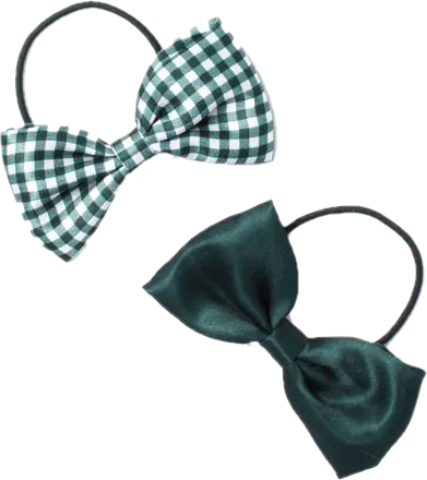 Pack of 2 Girls Bottle Green School Hair Bow Elastics - Anilas UK
