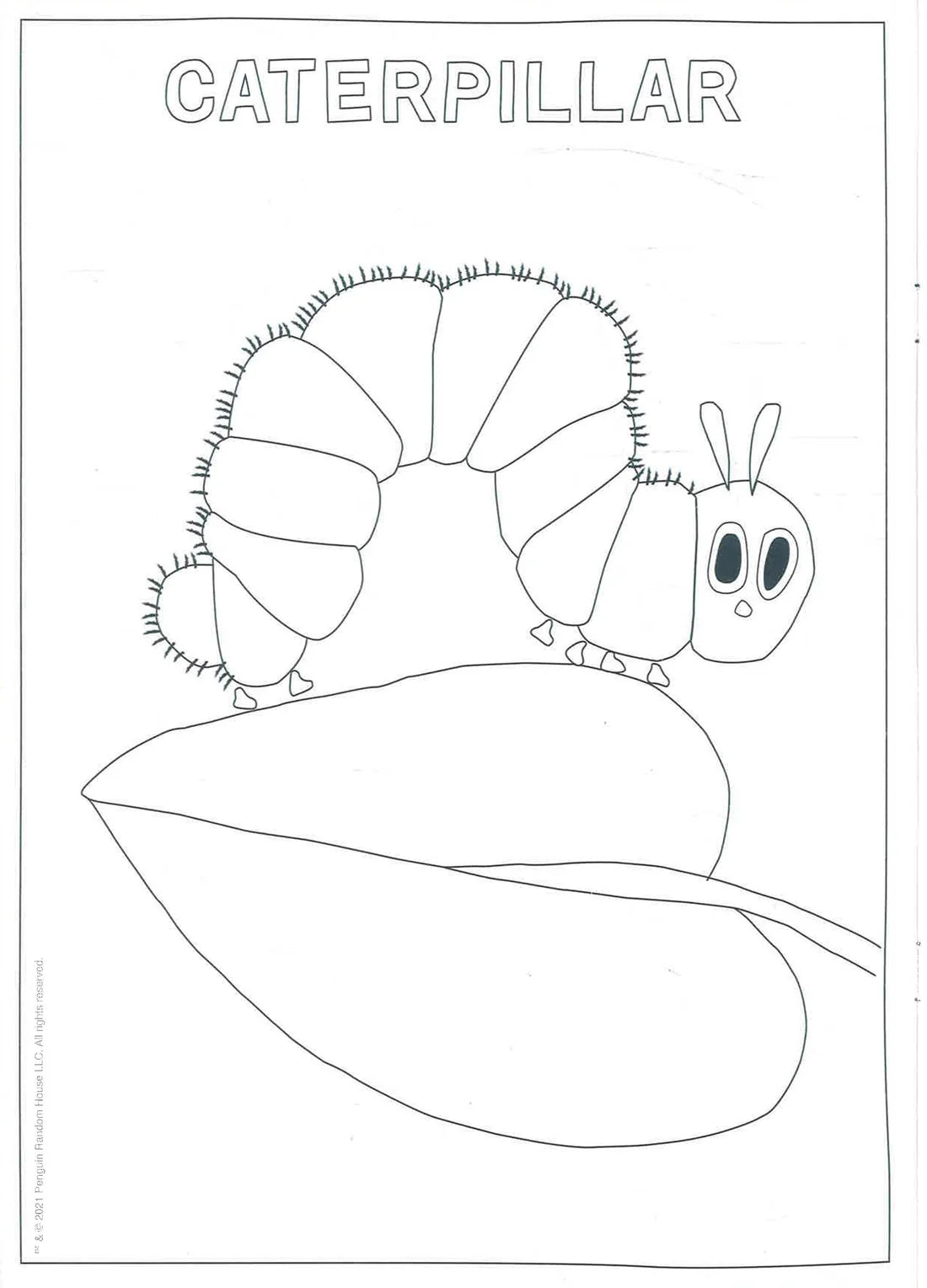 The Very Hungry Caterpillar Bugs Colouring Book - Anilas UK