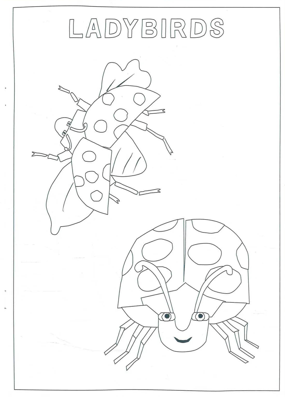 The Very Hungry Caterpillar Bugs Colouring Book - Anilas UK