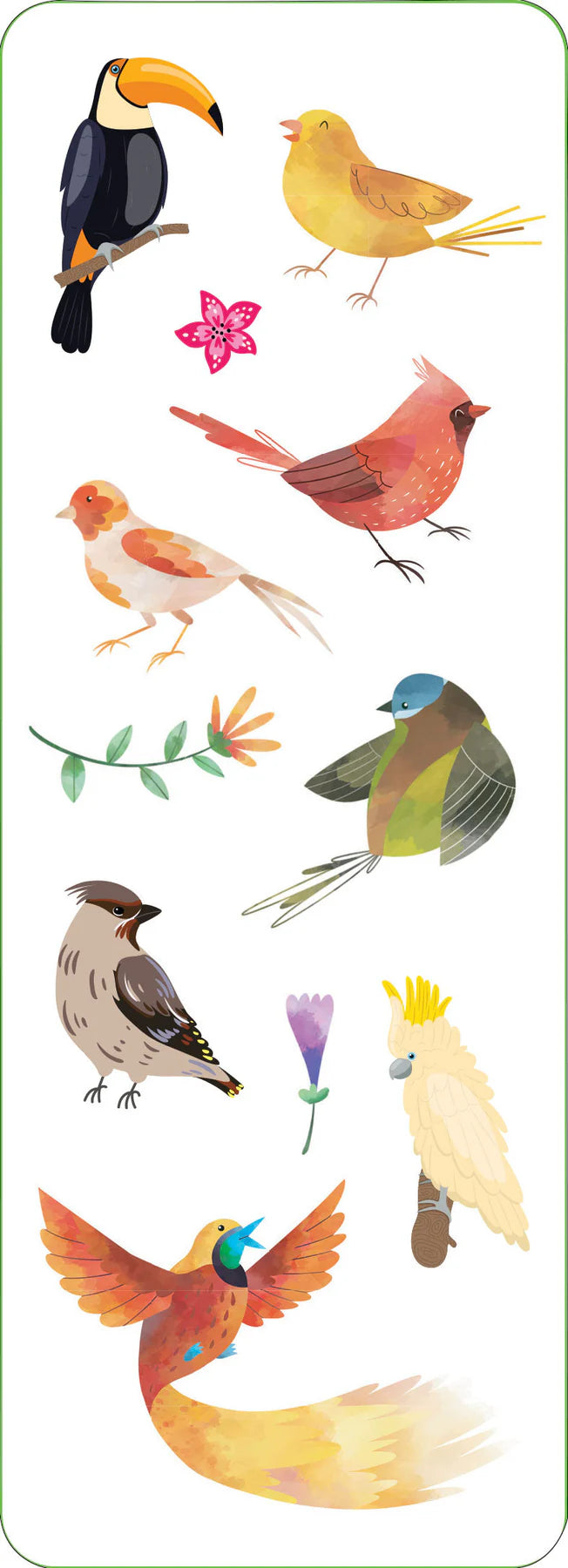 Birds Sticker Set - Anilas UK