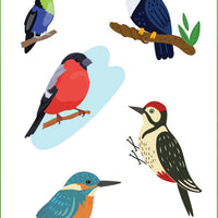 Birds Sticker Set