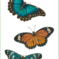 Butterflies Sticker Set - Anilas UK
