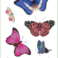 Butterflies Sticker Set - Anilas UK