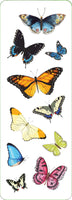 
              Butterflies Sticker Set - Anilas UK
            