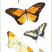 Butterflies Sticker Set - Anilas UK