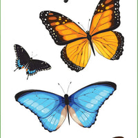 Butterflies Sticker Set - Anilas UK