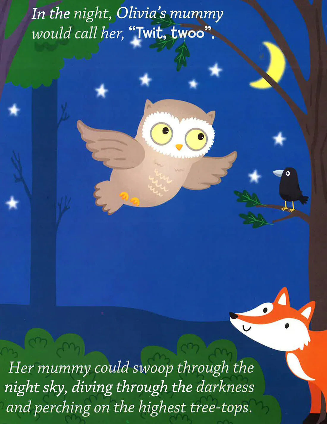 Olivia's Feathers Children's Picture Story Book - Anilas UK