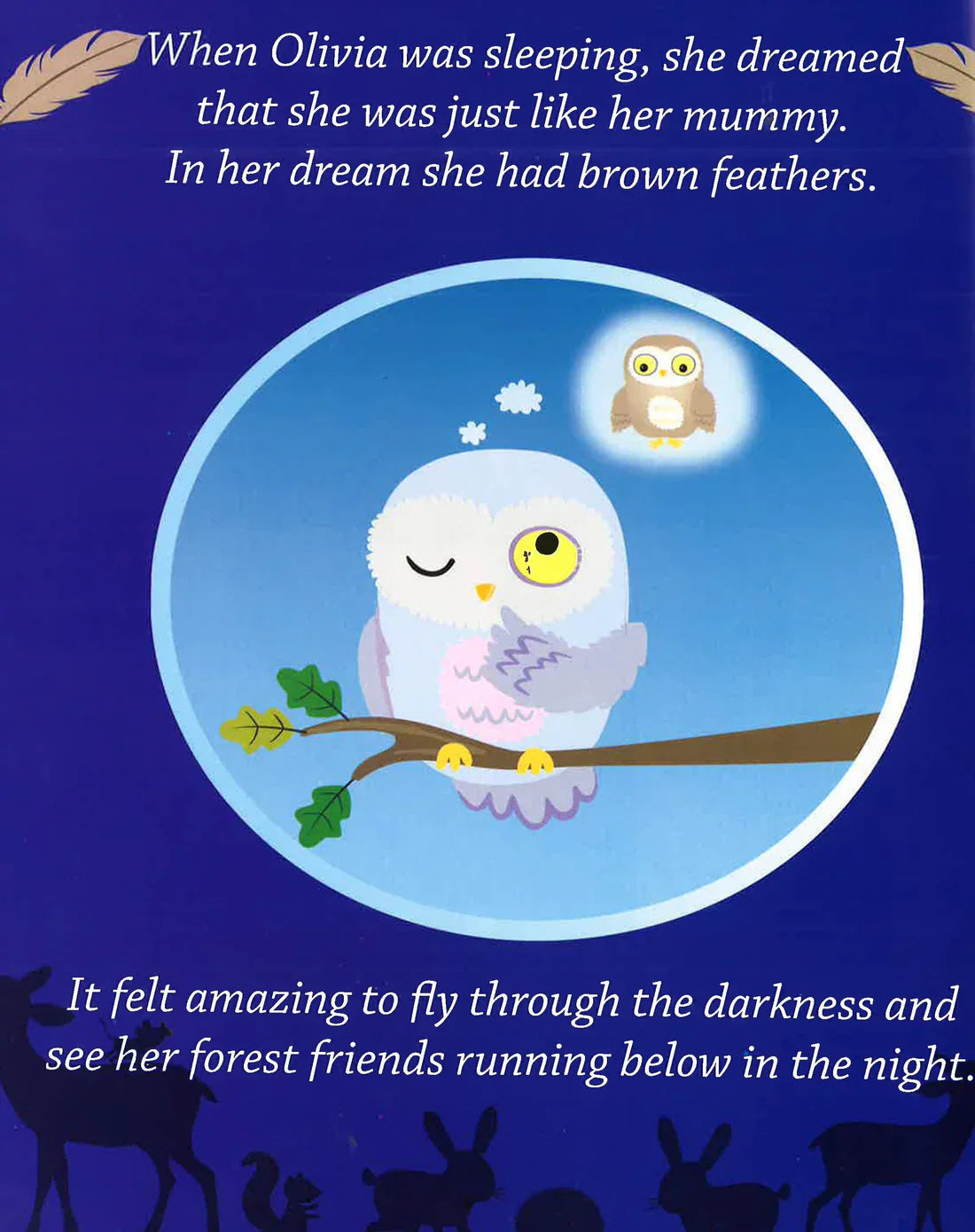Olivia's Feathers Children's Picture Story Book - Anilas UK