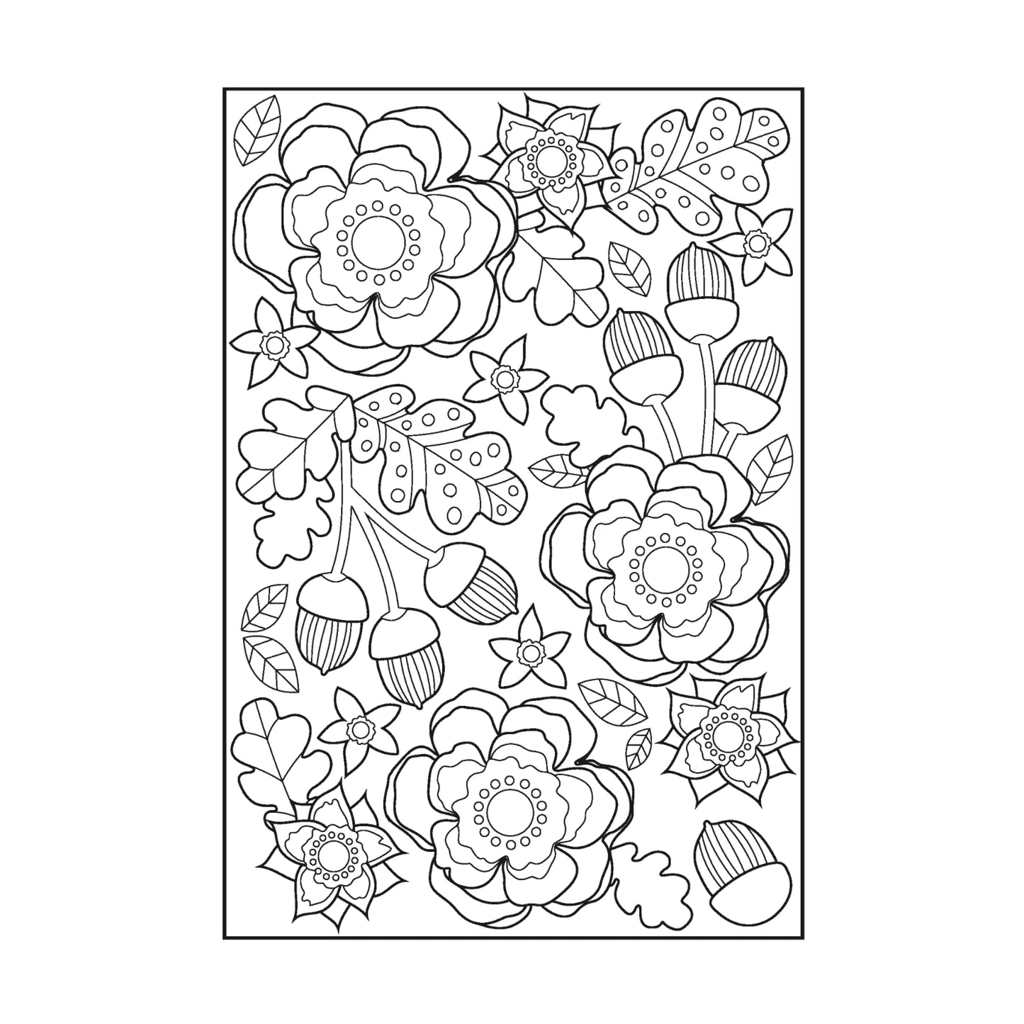 Mindfulness Colouring Book