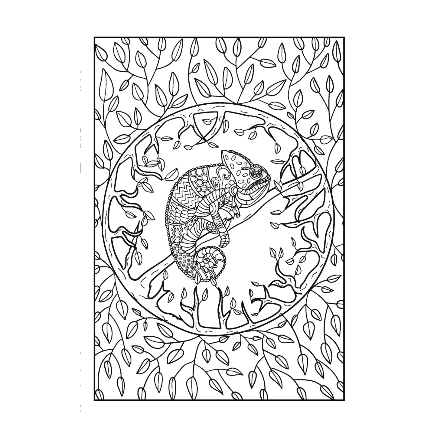 Mindfulness Colouring Book