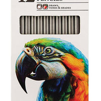 Studio Colouring Pencils (Pack of 12) - Anilas UK