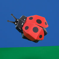 Clockwork Soldier's Create Your Own Lovely Ladybird - Anilas UK