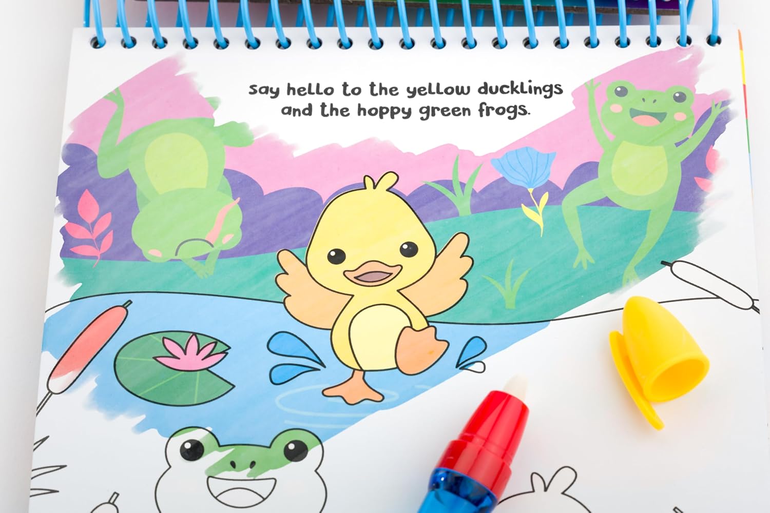 Rainbows Magic Painting Book - Anilas UK