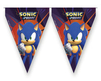 
              Sonic Party Flag Bunting
            