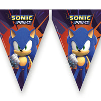 Sonic Party Flag Bunting