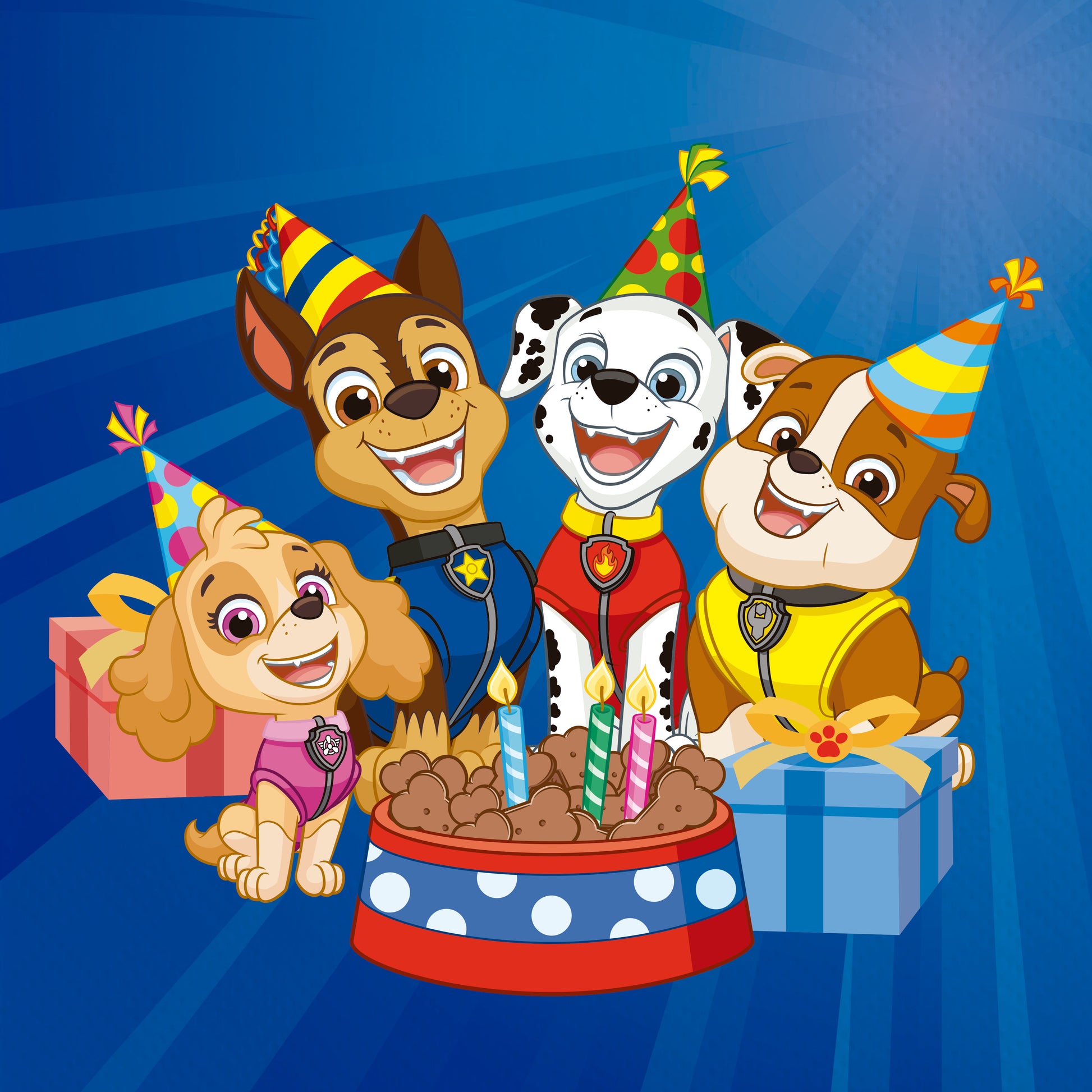 Anila's Paw Patrol Party Pack for 16 people - Anilas UK