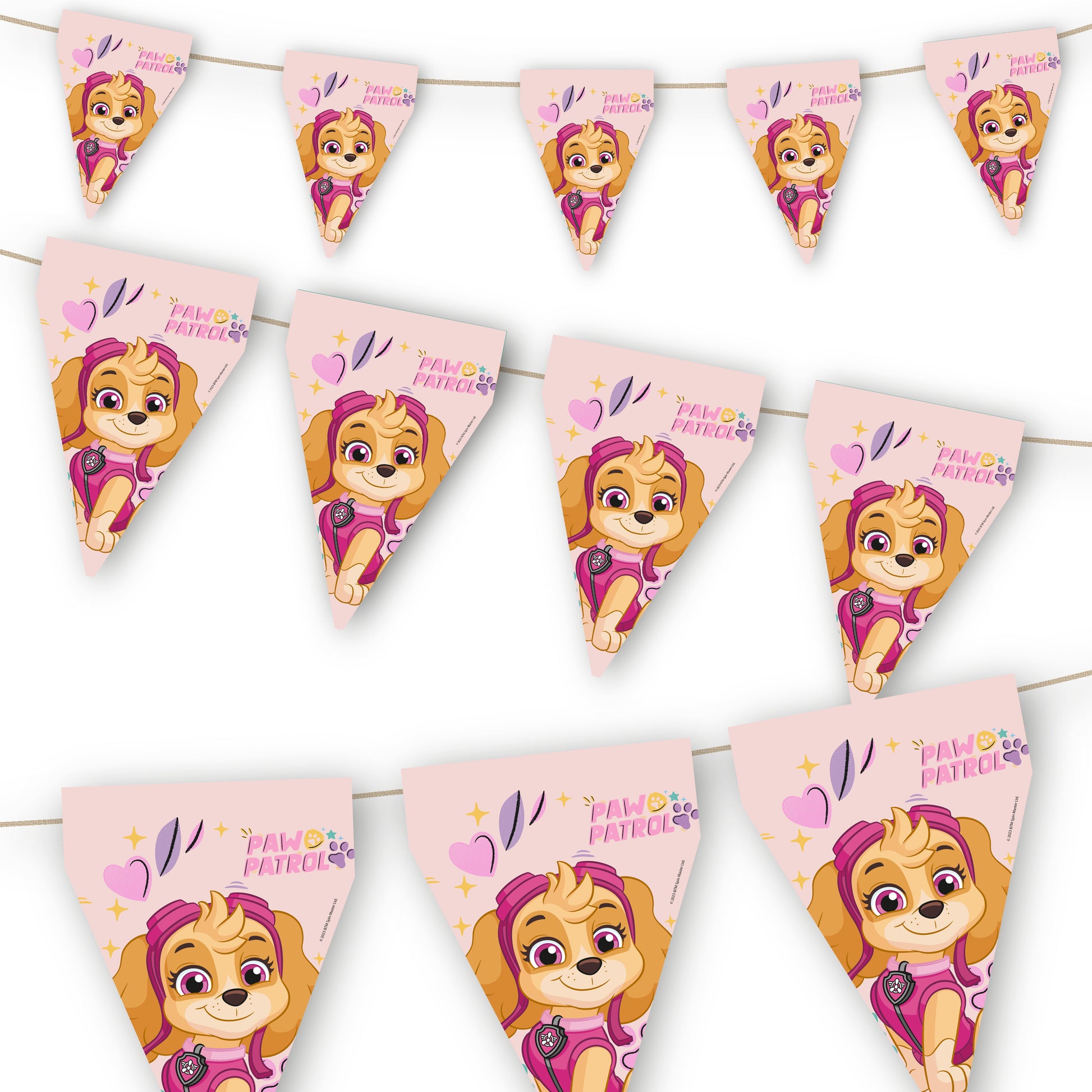 Paw Patrol Skye Flag Bunting Banner - Anilas UK