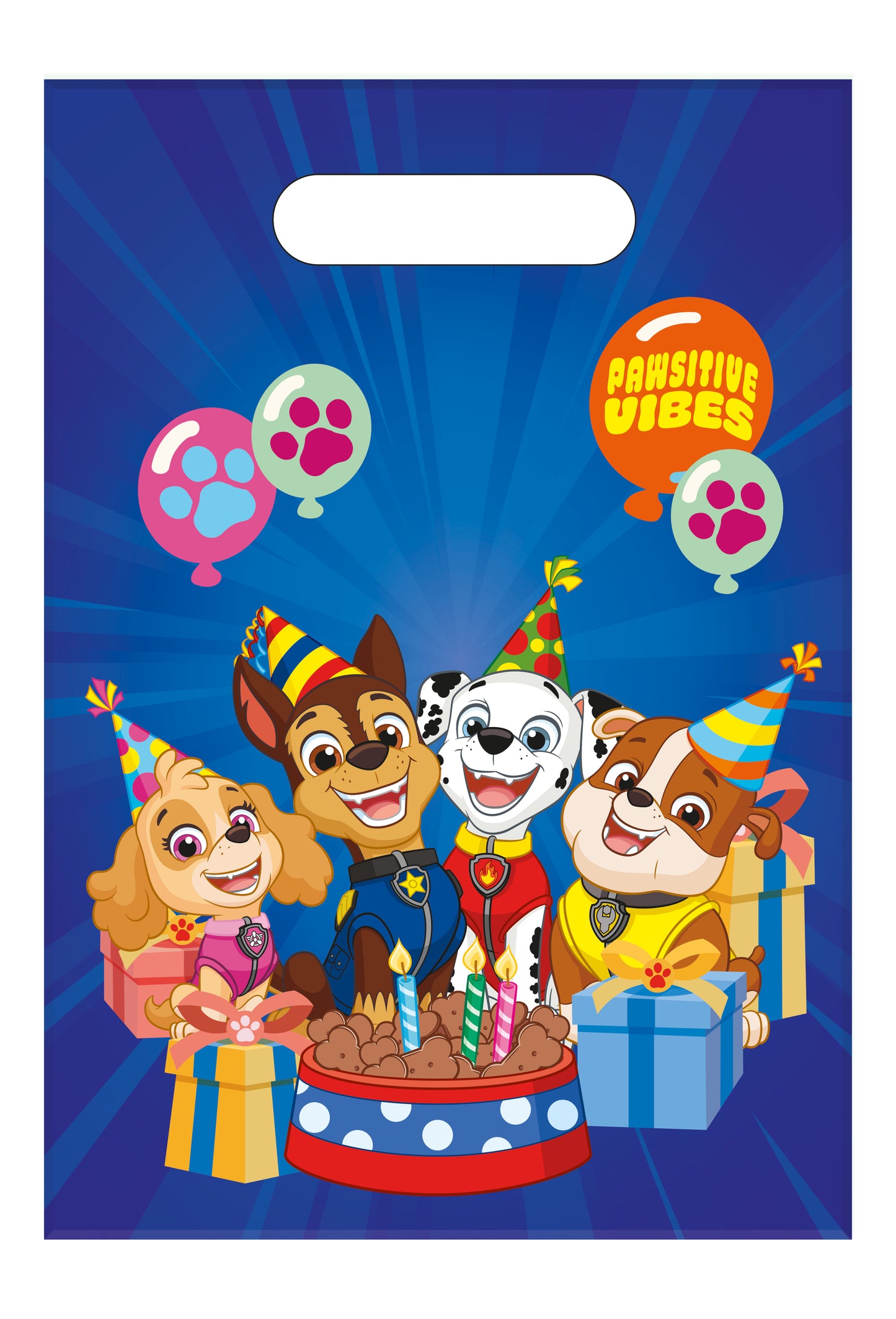 Paw Patrol Plastic Party Loot Bags (pack of 6) - Anilas UK