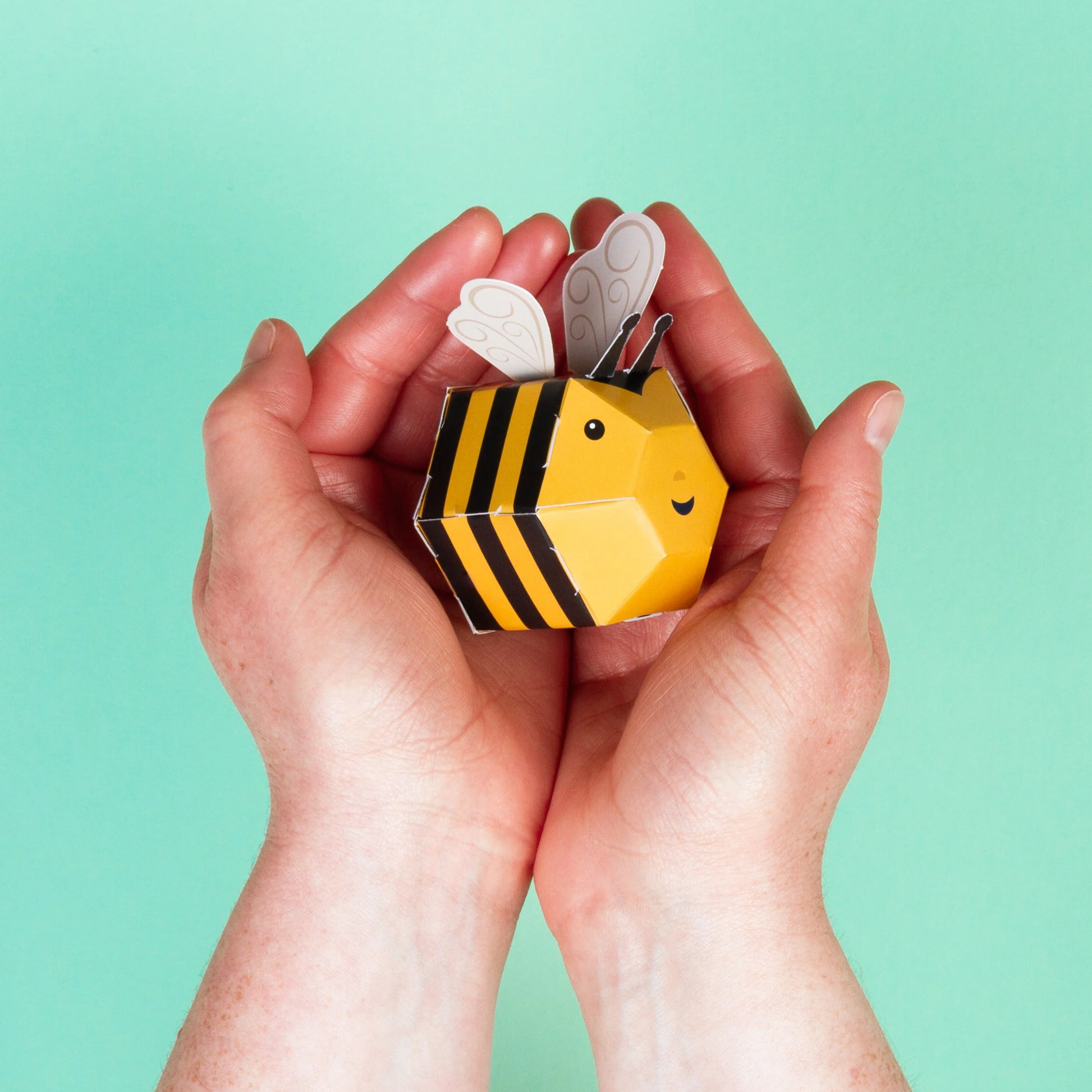 Clockwork Soldier's Create Your Own Buzzy Bumble Bee - Anilas UK