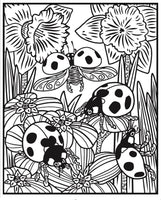 
              Bugs Magic Painting Book - Anilas UK
            