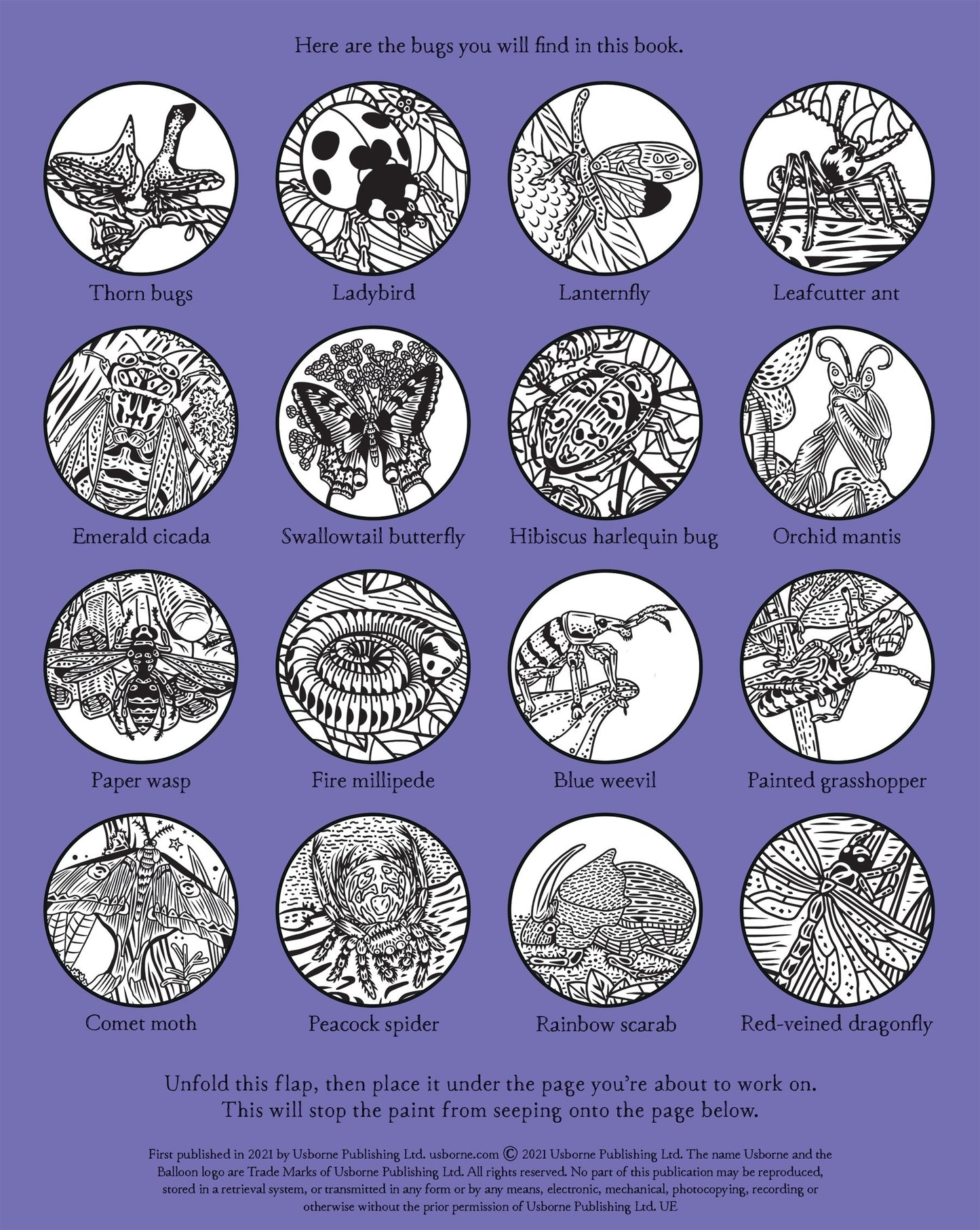 Bugs Magic Painting Book - Anilas UK