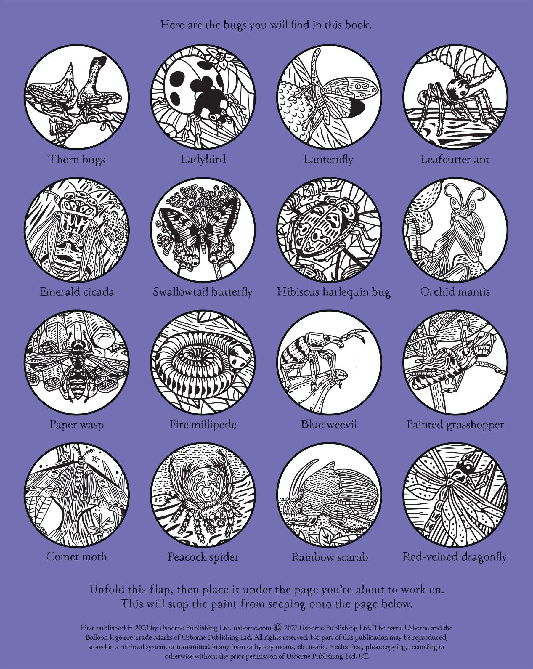 Bugs Magic Painting Book - Anilas UK
