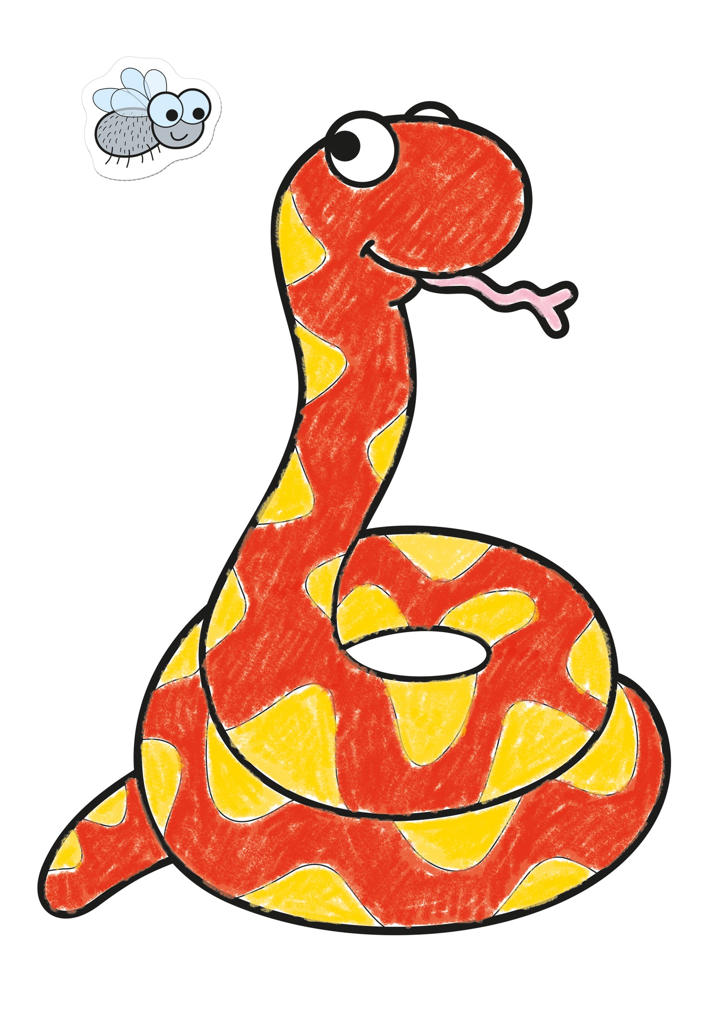 Animals Colouring Book - Anilas UK