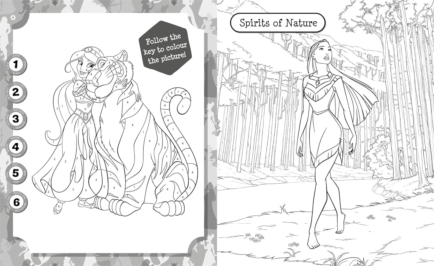 Disney Princess: 5 in 1 Colouring Book - Anilas UK