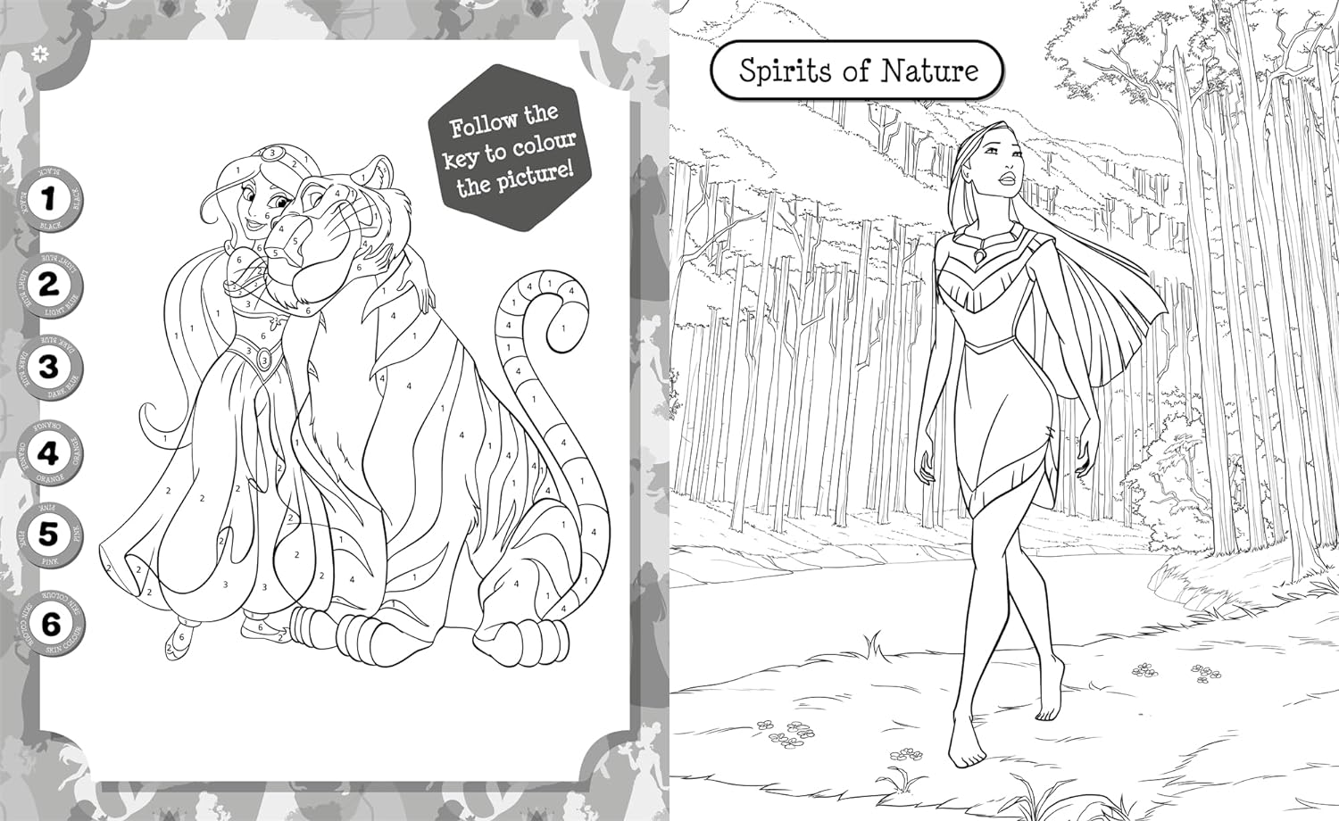 Disney Princess: 5 in 1 Colouring Book - Anilas UK