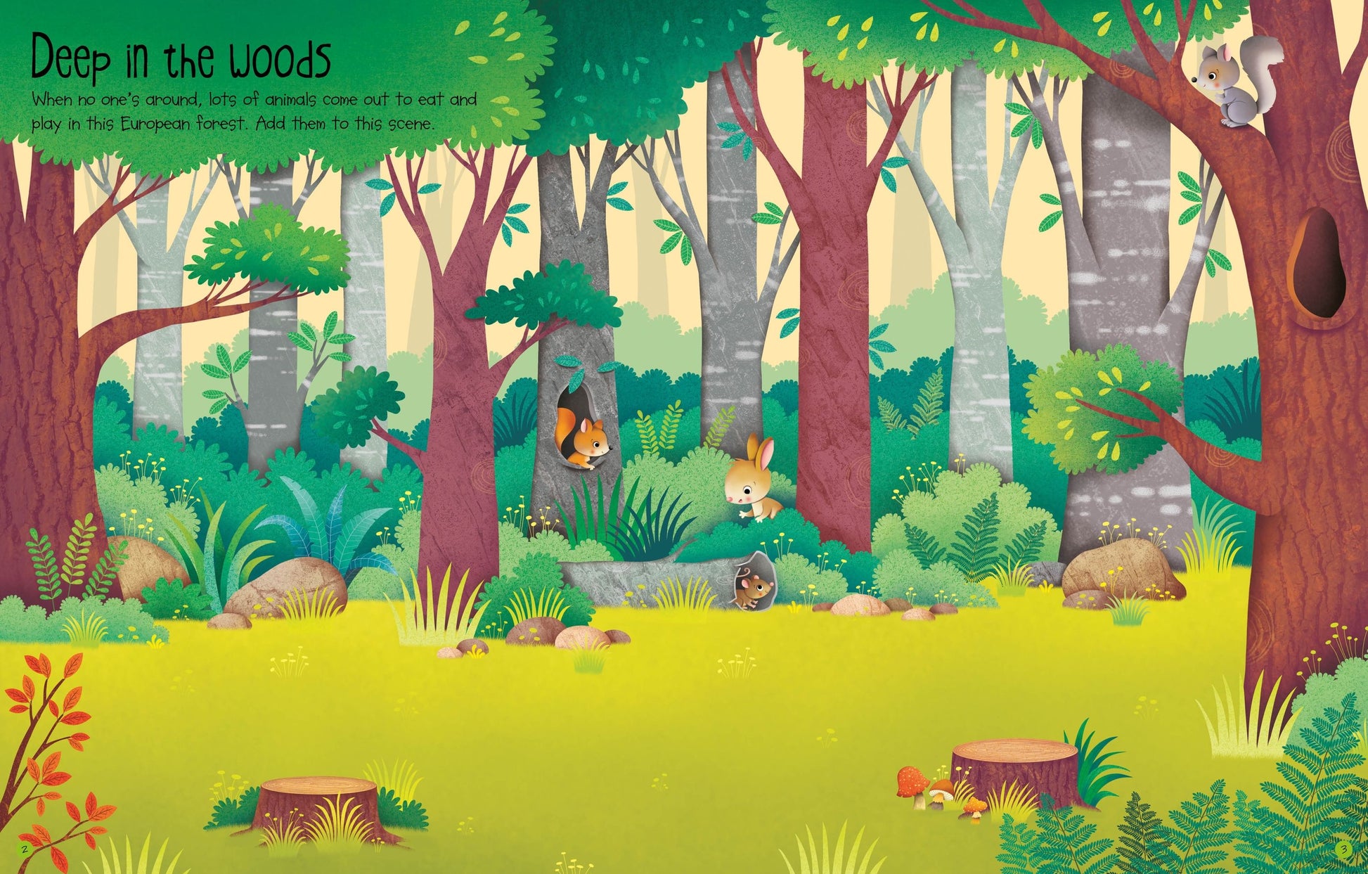 First Sticker Book Nature - Anilas UK