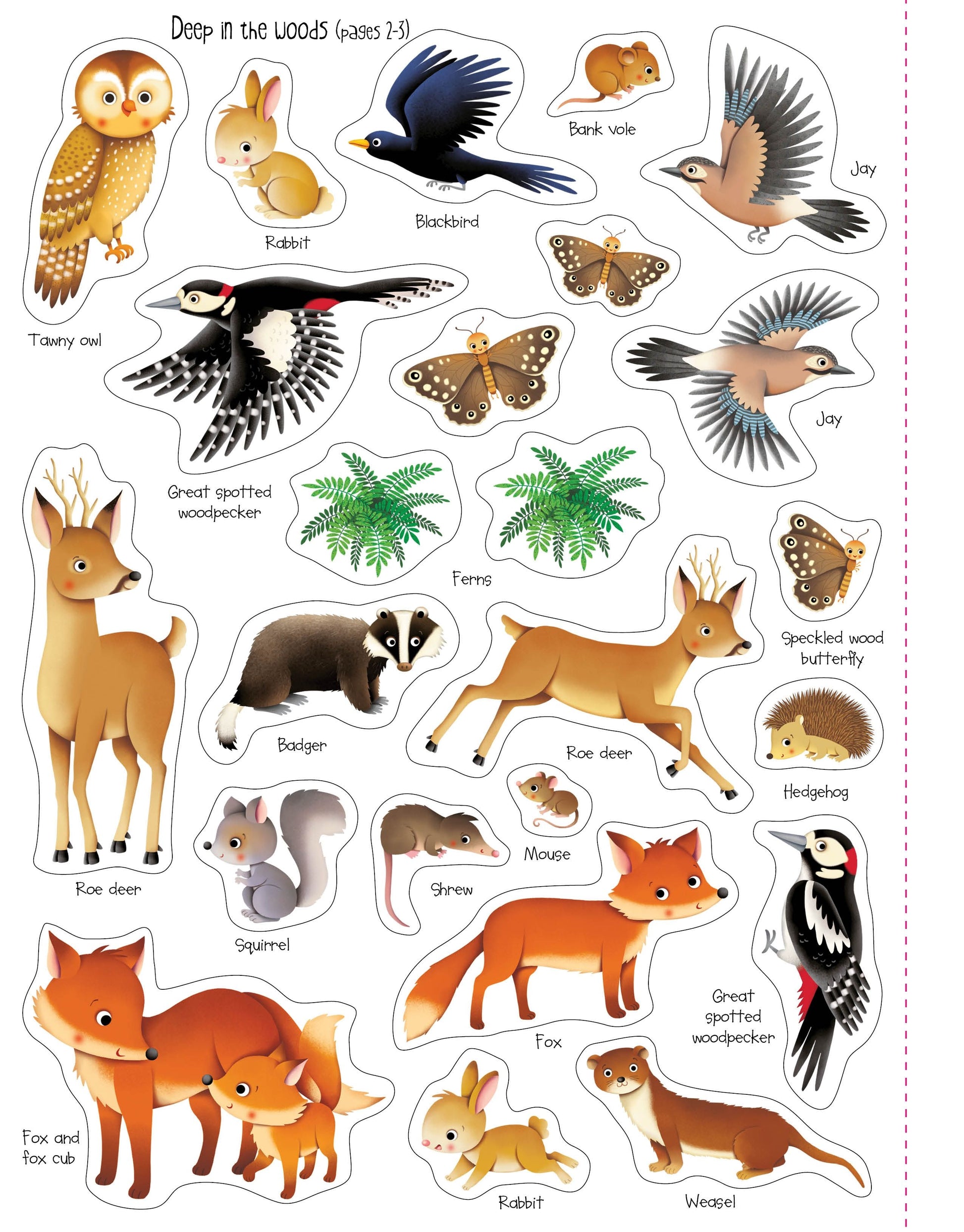 First Sticker Book Nature - Anilas UK