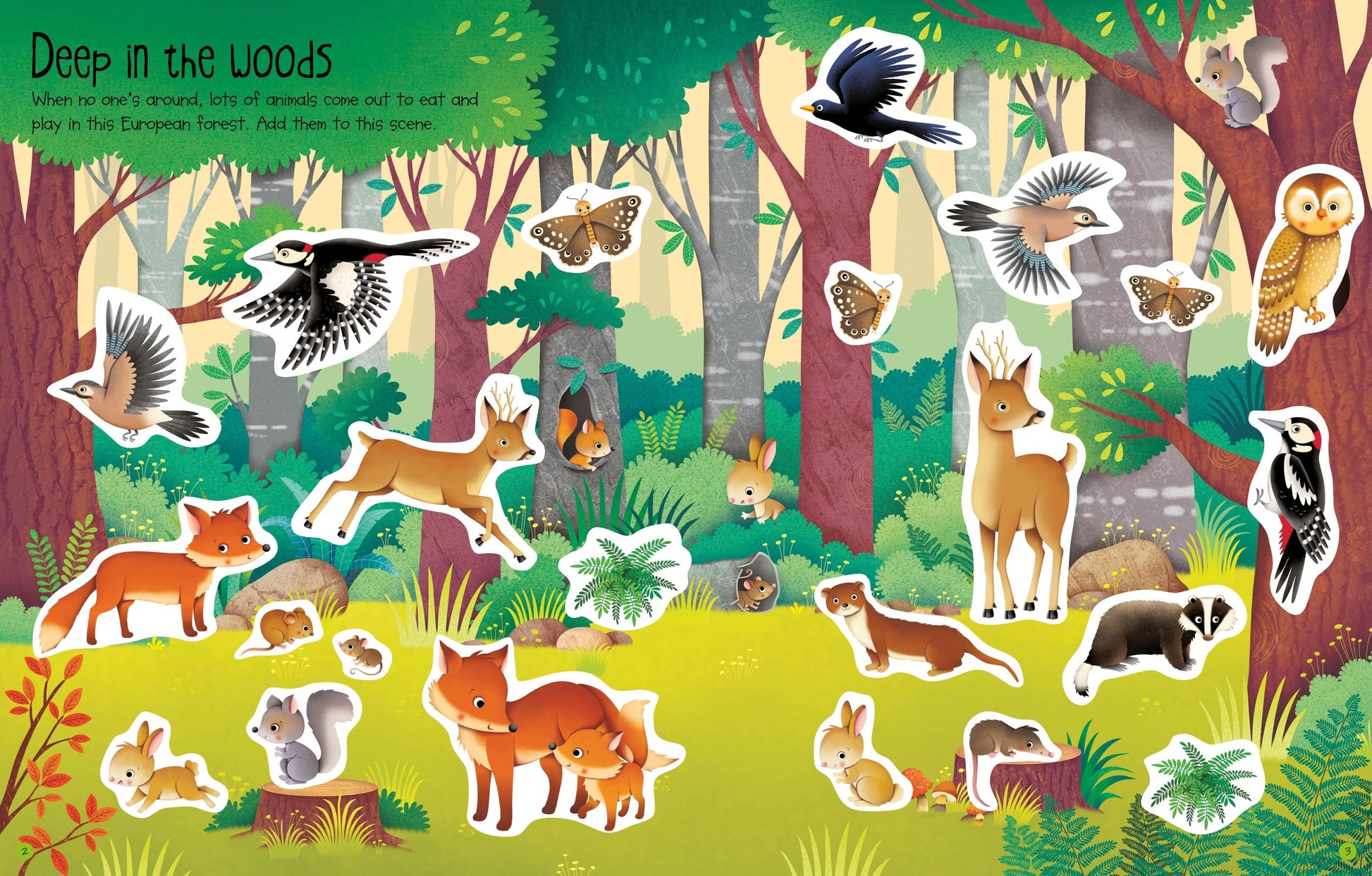 First Sticker Book Nature - Anilas UK