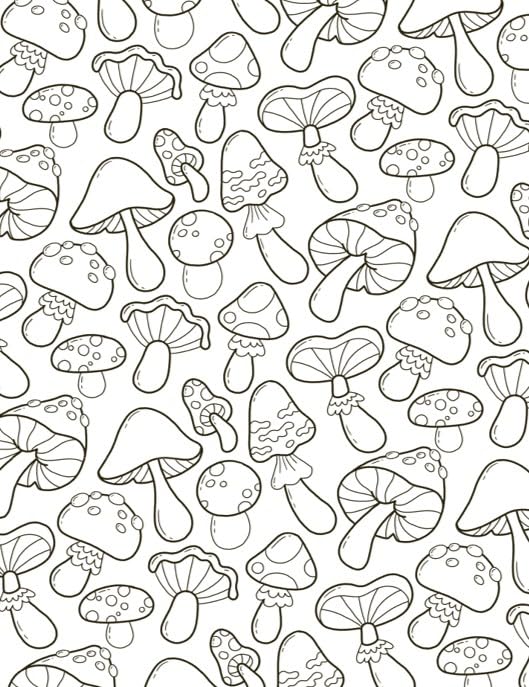 Forest Cuties Cozy Colouring Book - Anilas UK