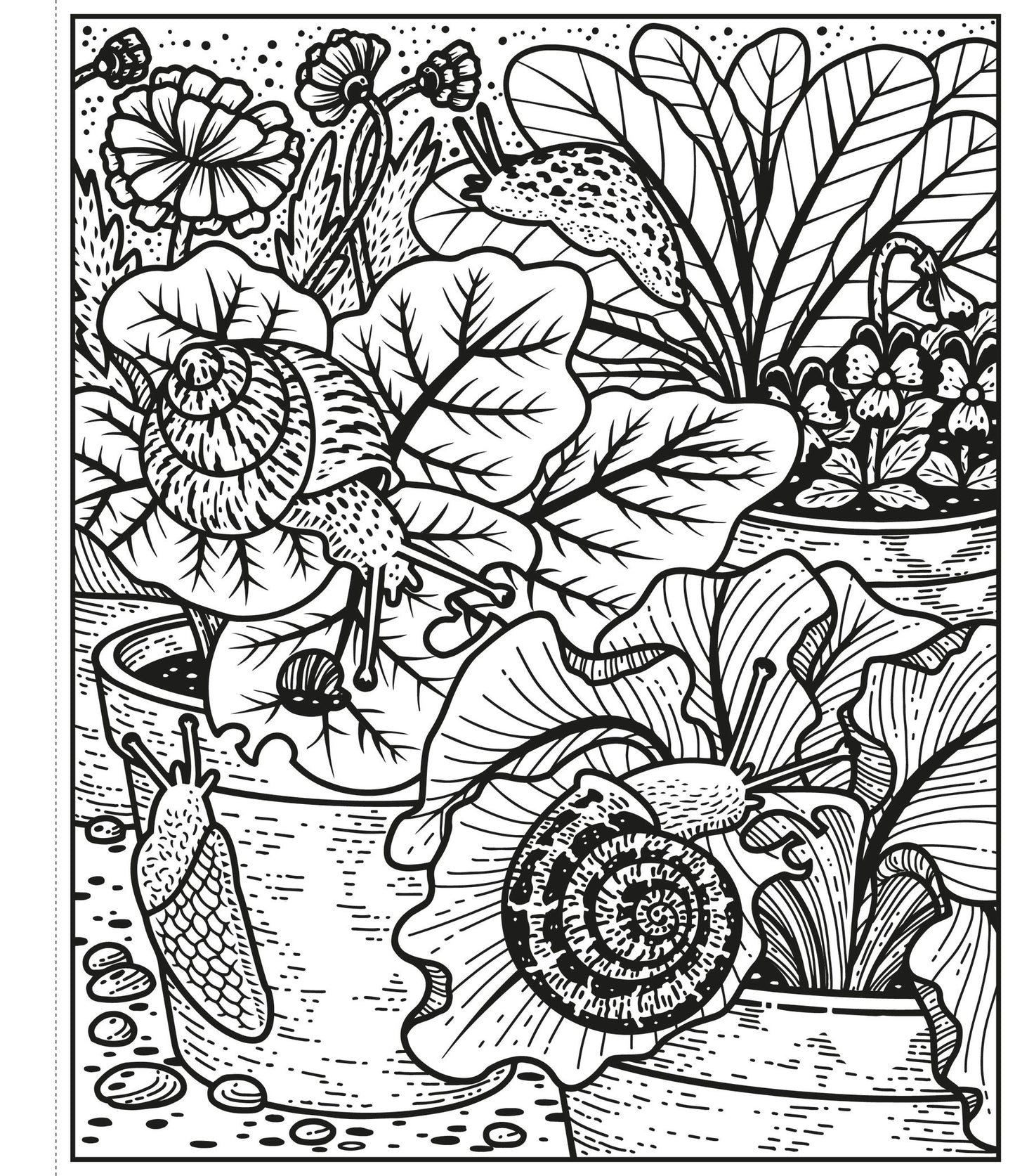 Garden Magic Painting Book - Anilas UK