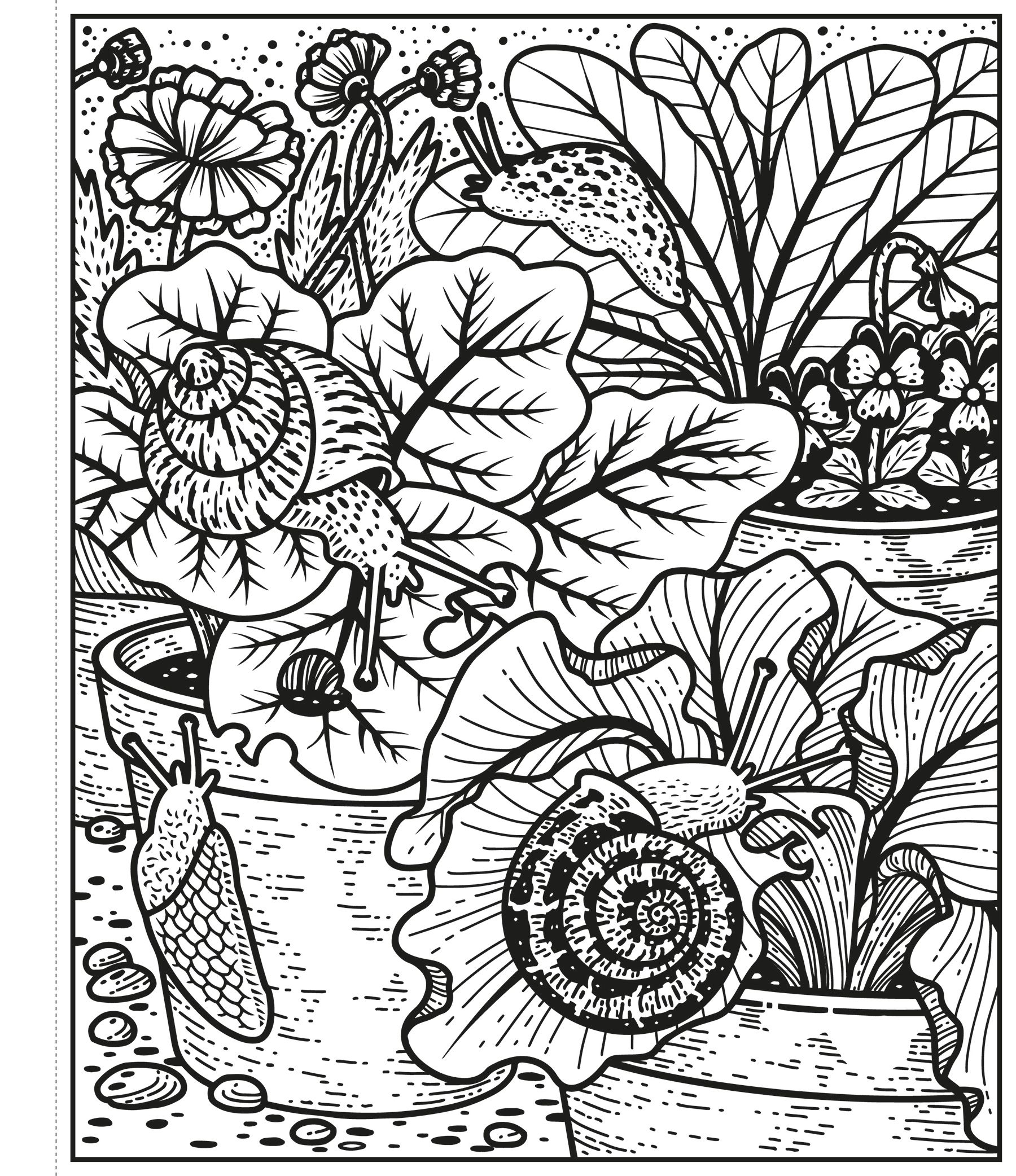 Garden Magic Painting Book - Anilas UK
