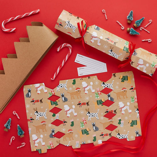 DIY Santa Paws Eco Cracker Kit Pack of 6 - Anilas UK
