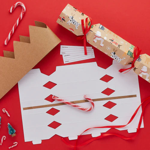 DIY Santa Paws Eco Cracker Kit Pack of 6 - Anilas UK