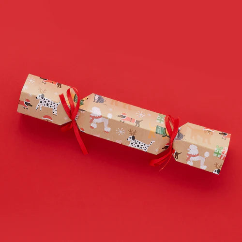 DIY Santa Paws Eco Cracker Kit Pack of 6 - Anilas UK