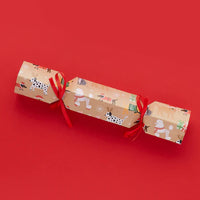 
              DIY Santa Paws Eco Cracker Kit Pack of 6 - Anilas UK
            