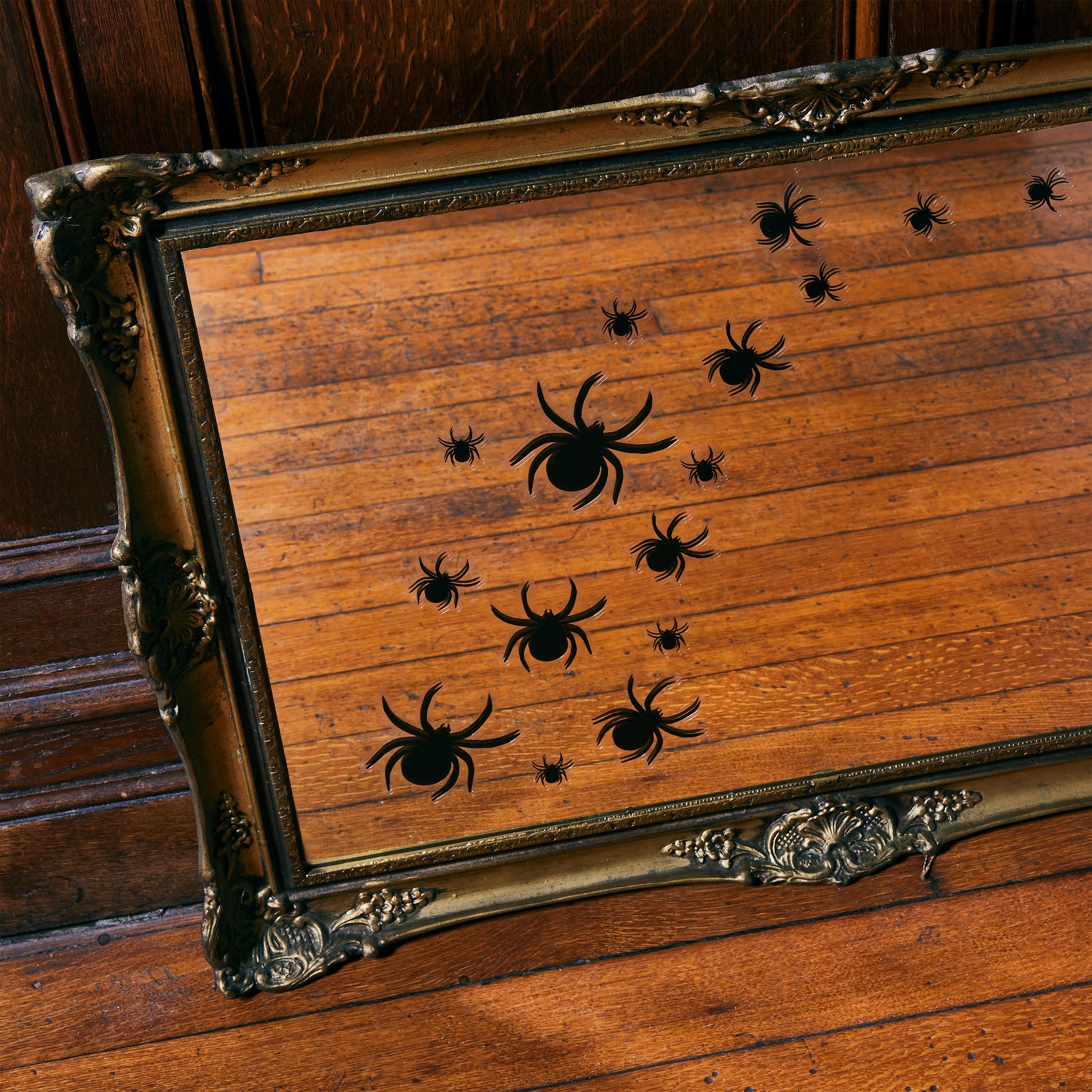 Reusable Spider Window and Mirror Clings 3 Pack - Anilas UK