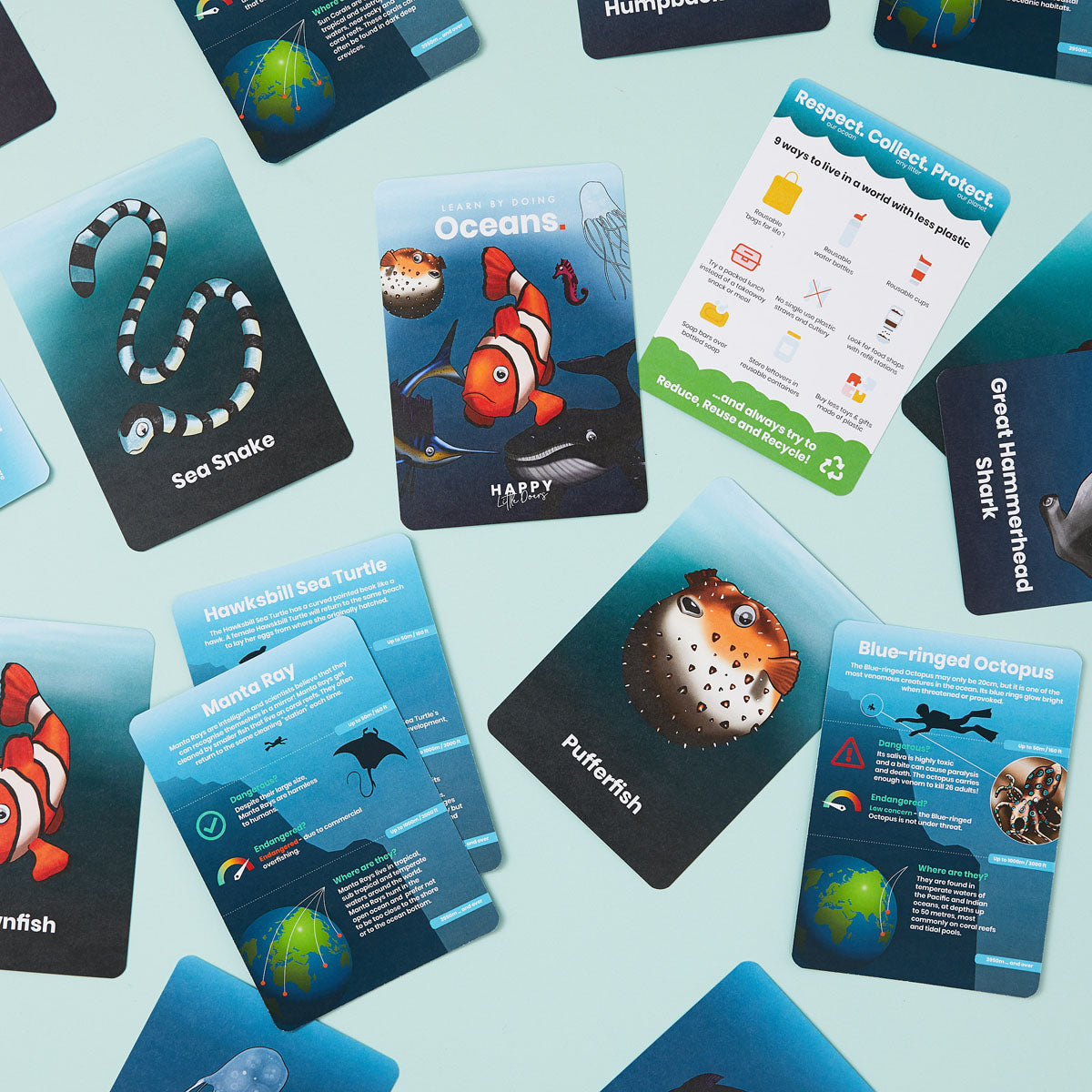 Ocean Activity Flashcards - Anilas UK