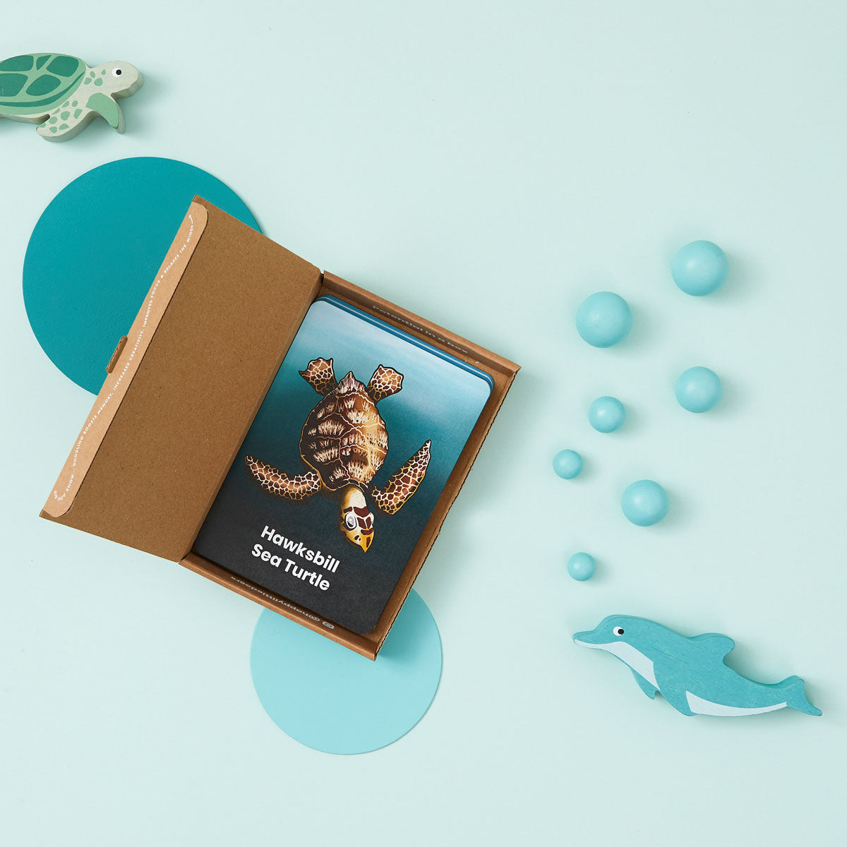 Ocean Activity Flashcards - Anilas UK