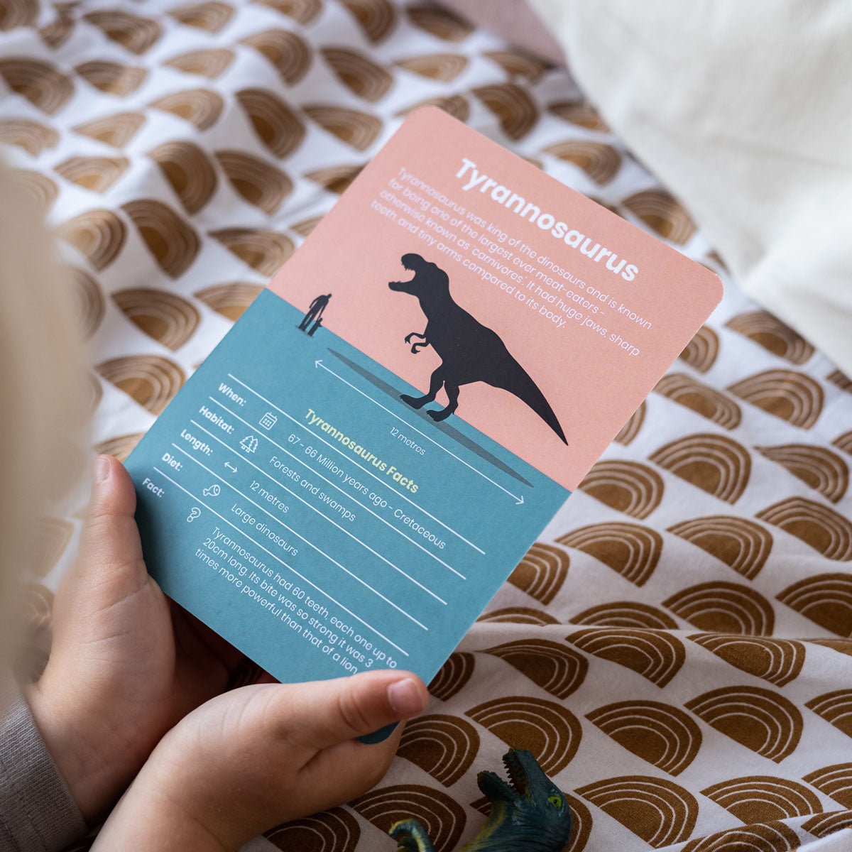 Dinosaur Activity Flashcards - Anilas UK